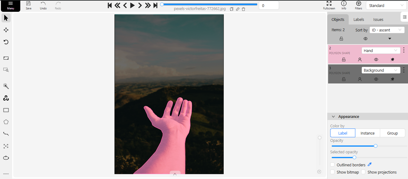 Semantic Segmentation Example